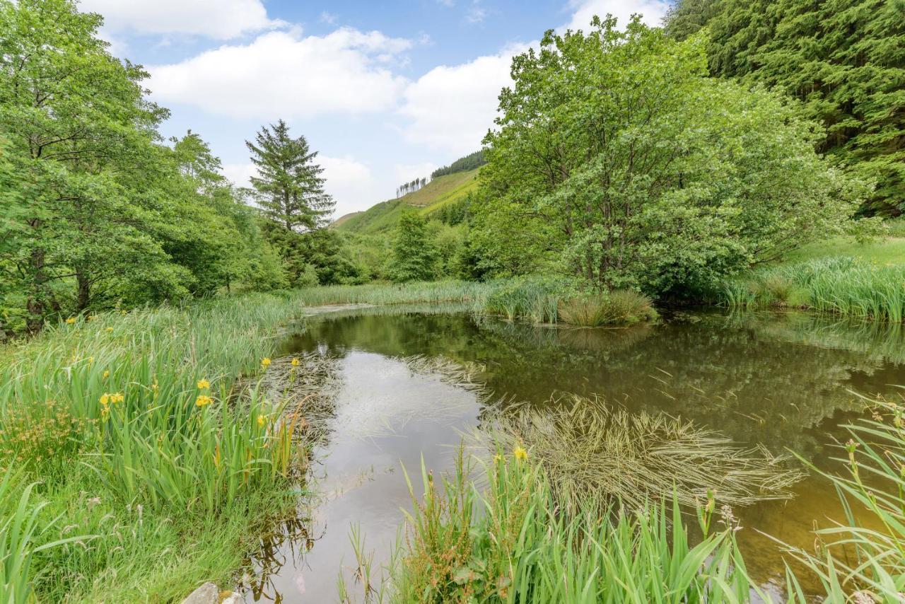 Groes Heol Machynlleth Exterior foto